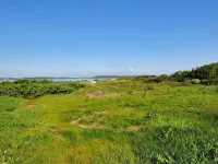 "Eloise" - 50m to the Fjord Hotels in Roslev