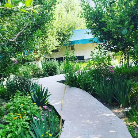 Apple Orchard Farm and Camping