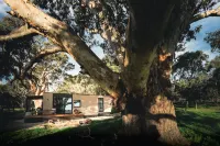 Cabn McLaren Vale Hotels in Tatachilla