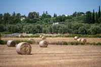 Masseria Bel Cortile - Ostuni