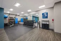 Hampton Inn by Hilton Detroit Southfield - Gym