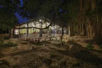 Bison Retreat - Pench