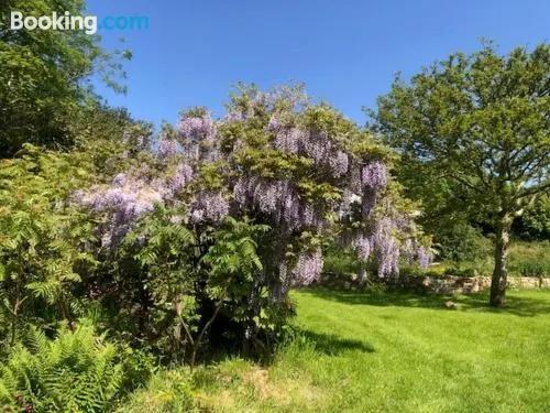 博爾格維亨度假屋
