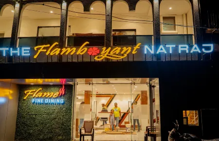 The Flamboyant Natraj