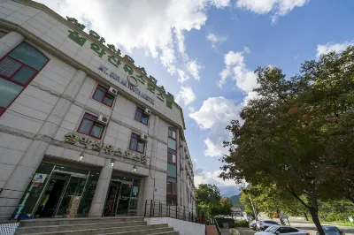 Sokcho Seoraksan Youth Hostel Hotels in 