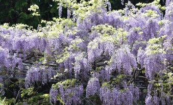 Miyama Onsen Aitokuso