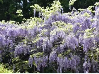 Miyama Onsen Aitokuso Các khách sạn ở Hidaka District