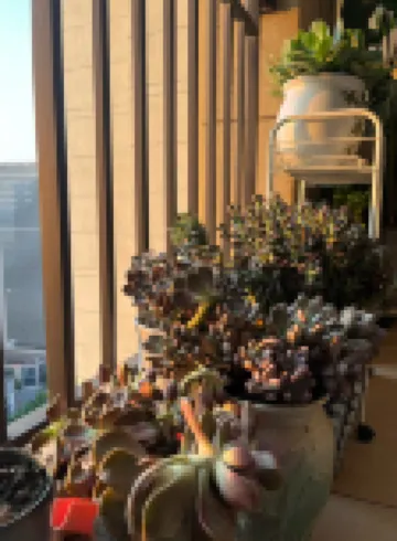 Dajia Xiaosu Apartment (Yangfan Road)