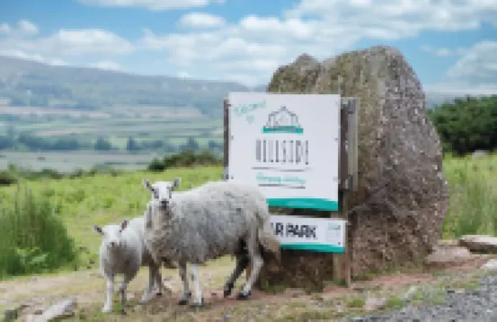 Paviland - Safari Glamping Tent - Llangennith