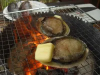 Cottage Izu,Com - Vacation Stay 07073V Hotels in Minamiizu