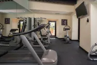 Hodelpa Nicolás de Ovando - Gym