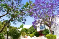 Paphos Gardens Holiday Resort