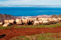 House Altos de Gáldar Hotels in Galdar