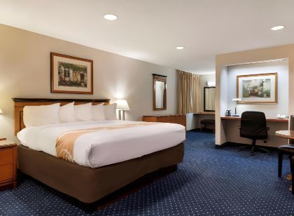 Quality Inn Auburn Hills - Detroit North