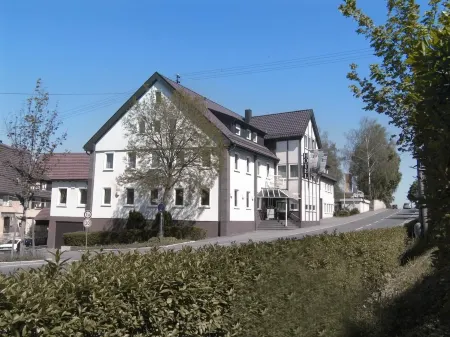 Hotel Waldhorn Отели в г. Айдлинген