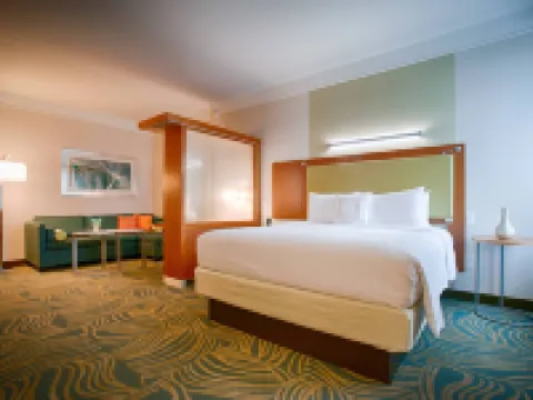 スプリングヒル スイーツ カントン ジャクソンのホテル