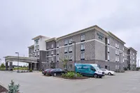 Homewood Suites by Hilton - des Moines Airport Hotels near Wooly's