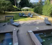 Beautiful Oasis on Lake Washington and Seward Park! Pool and Hottub ⭐️