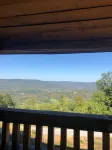 Tree Top View