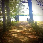 Cottage by the Lake #3 - Blossoms