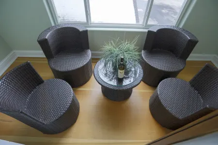 Fat Tire Bikes INCLUDED