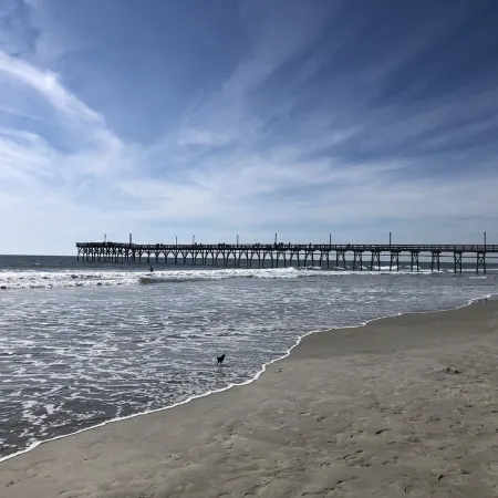 Sea Trail 2Br - Golf, Bike, Beach Getaway! Clean, Quiet, Pools, Great View!