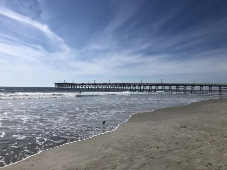 Sea Trail 2Br - Golf, Bike, Beach Getaway! Clean, Quiet, Pools, Great View!