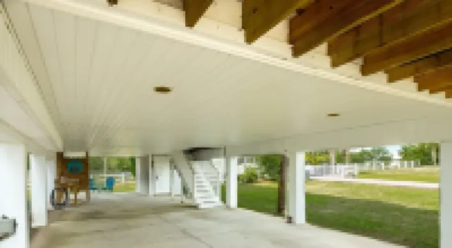 Fish, Beach, Pool, Swim, Relax