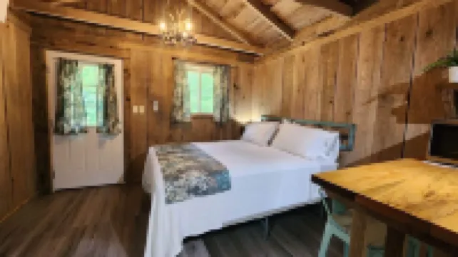 Cozy cabin close to Summersville Lake and the New River Gorge National Park!