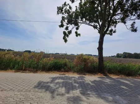 Swallow's nest in the middle of the countryside Отели в г. Дорнум