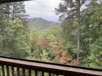Secluded home in the mountains and 5 minutes from downtown.  Pet friendly!