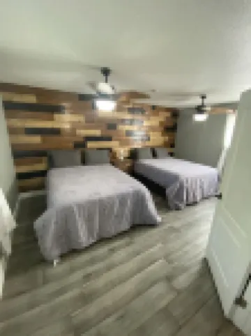 Private 2.5-Acre Retreat with Lush Palms, Pool, Play Train & Tortoises