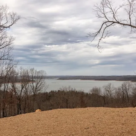 The Lark Haus: Luxury Home with stunning lake view