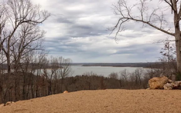 The Lark Haus: Luxury Home with stunning lake view