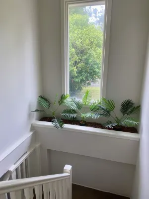 Hideaway By The Lake - The perfect lakeside holiday location! Hotels in Caves Beach