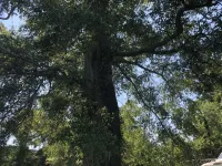 Near the water  and close to a  boat ramp