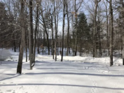 Assoc beach, Lakes, Naples Causeway, restaurants, shops, boat- jet ski rentals.