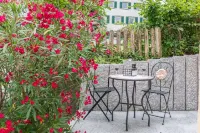 Neues Apparment, Sep.eingang, Terrasse