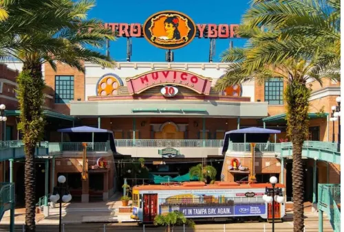 Updated Mid Century Villa! Close to Busch Gardens Hotels in Temple Terrace