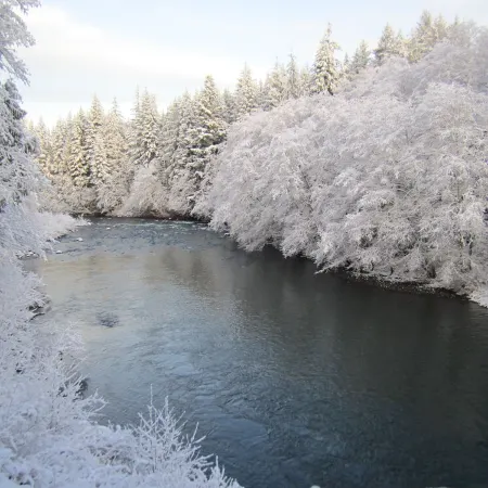 Welcome to Cabin on the Middlerun  -  All Cedar Cabin On The Sol Duc River