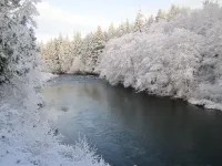Welcome to Cabin on the Middlerun  -  All Cedar Cabin On The Sol Duc River - Chalets