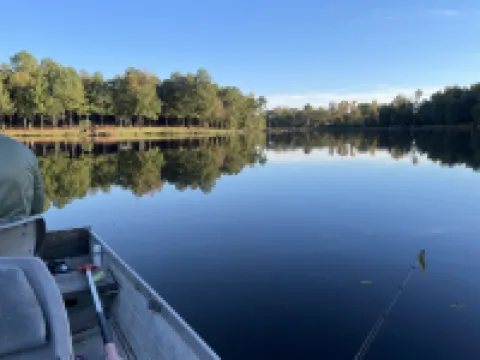 Treehouse: Romantic Hideaway on Private Lake