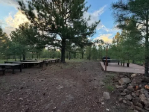 Gateway to the Grand Canyon - Enjoy our Wilderness Retreat amongst the pines Hotels in Parks