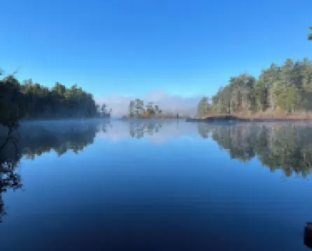 Peaceful Basement Apartment among serene woods, paths, and a stream near Acadia