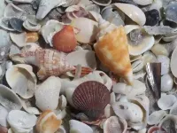 Nature's Splendor! Lovely Setting.