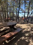 Pine Hollow w/ Lemurs & zebras, Private Hot Tub