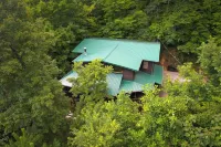 July/Aug Special! Lodge for 18, w/ Hot Tub, Nerf Gun Wall! 3 Mins to Dollywood!