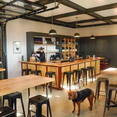 Winery & Vineyard Loft with 1000+ acres of hiking. Farm with Goats & Horses