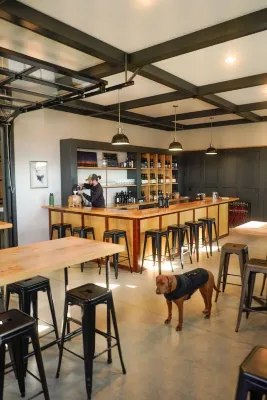 Winery & Vineyard Loft with 1000+ acres of hiking. Farm with Goats & Horses