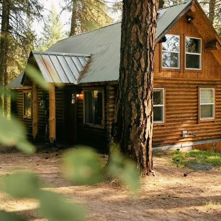Modern romantic 2-bed log cabin in the forest